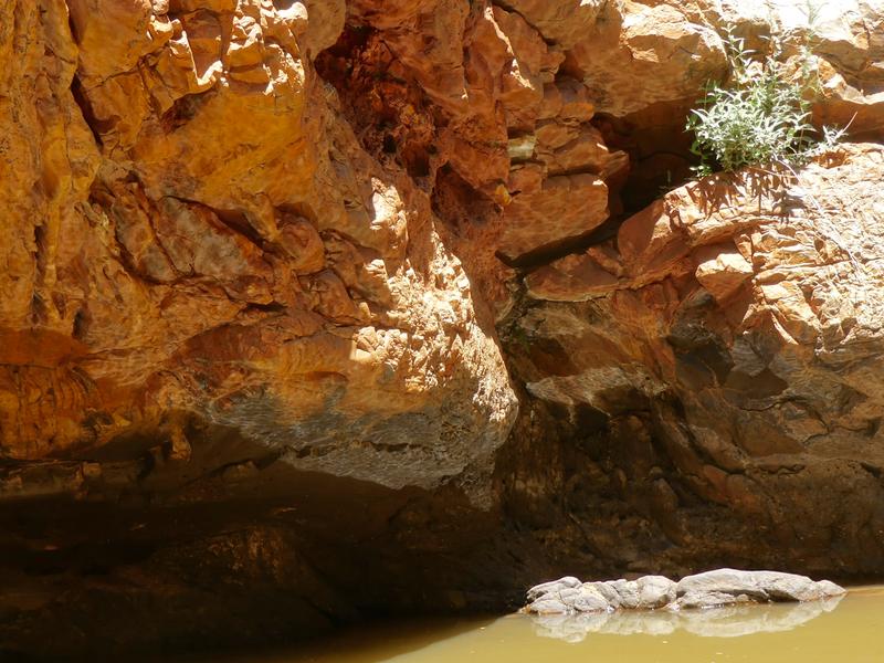 0 Bedroom Property for Sale in Laingsburg Western Cape